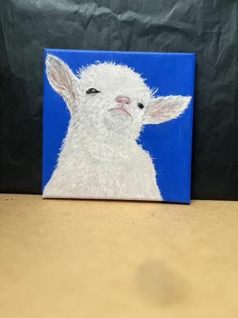 Młody koziołek. Obraz olejny na płótnie 20x20 cm