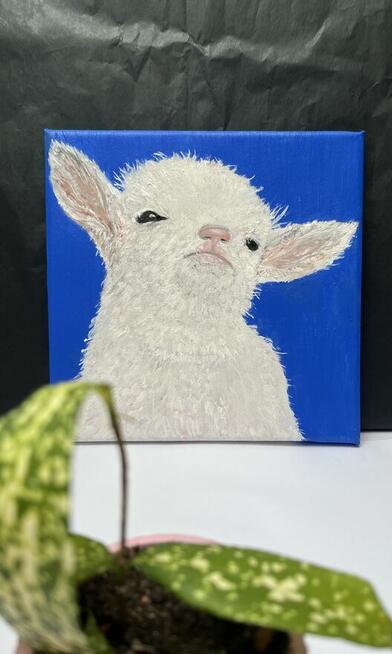 Młody koziołek. Obraz olejny na płótnie 20x20 cm