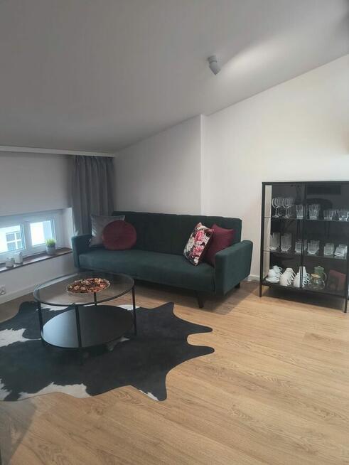 Studio do wynajęcia