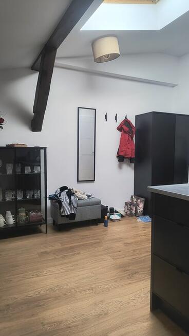 Studio do wynajęcia