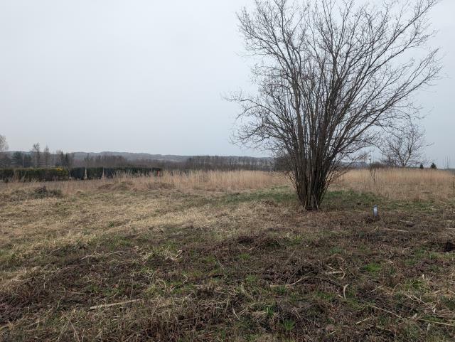 Działka budowlana Łazy