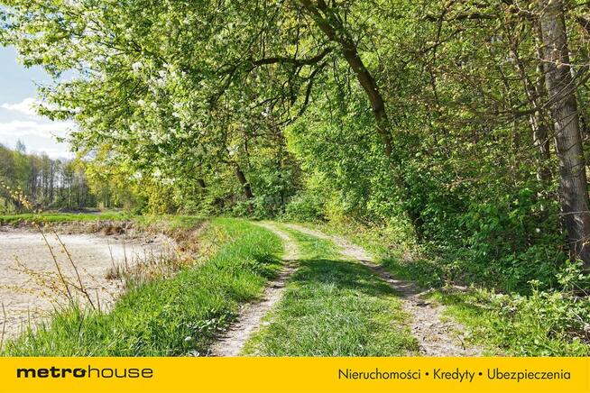Niepowtarzalna okazja! 2 stawy rybne i las 3,15ha