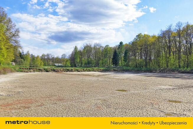 Niepowtarzalna okazja! 2 stawy rybne i las 3,15ha