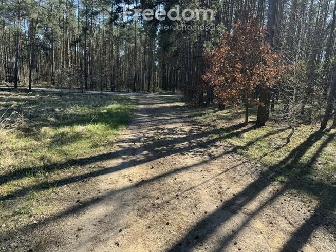 Działka budowlana z lasem z warunkami