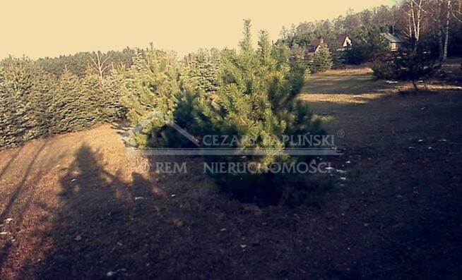 Działka budowlana Okuninka gm. Włodawa, Okuninka
