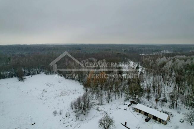 Działka budowlana Stanisławów gm. Wola Uhruska, Stanisławów, las, możliwość zabudowy