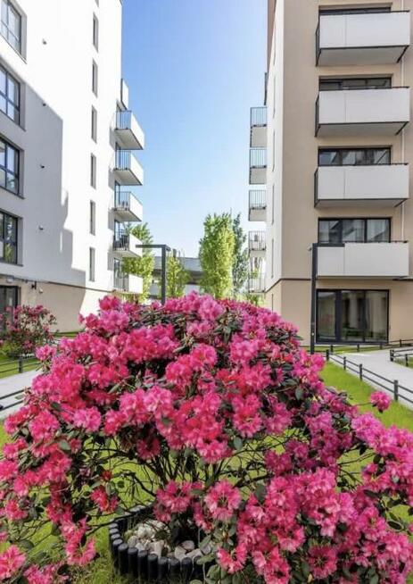 Mieszkanie Szczecin Gumieńce, Bronowicka