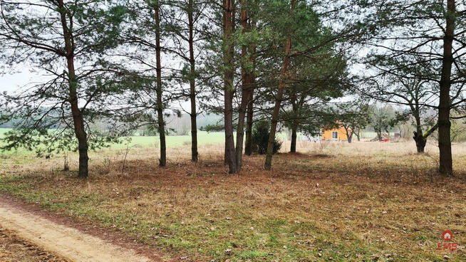 Działka budowlana Pieńki gm. Michałowo,