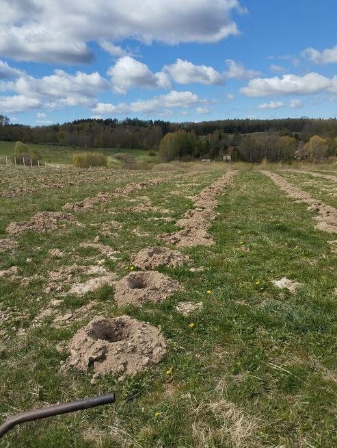 Prace ogrodowe i budowlane