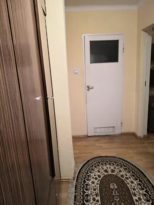 M 3 do wynajęcia