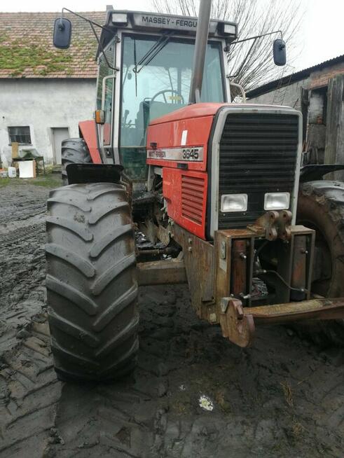 Ciągnik Massey Ferguson 3645 z TUZEM