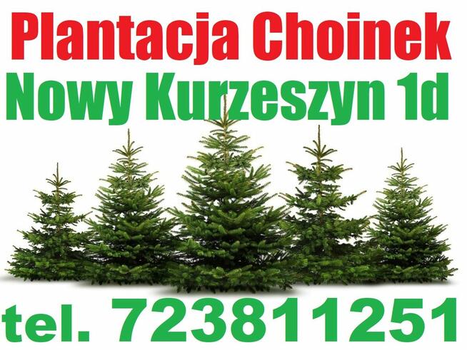 Wewnętrzna Ramka Prawa Obudowa lusterka Iveco Daily 2006-25