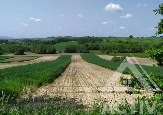 Rolna z potencjałem, rekreacja, 1ha, Kraków 15km