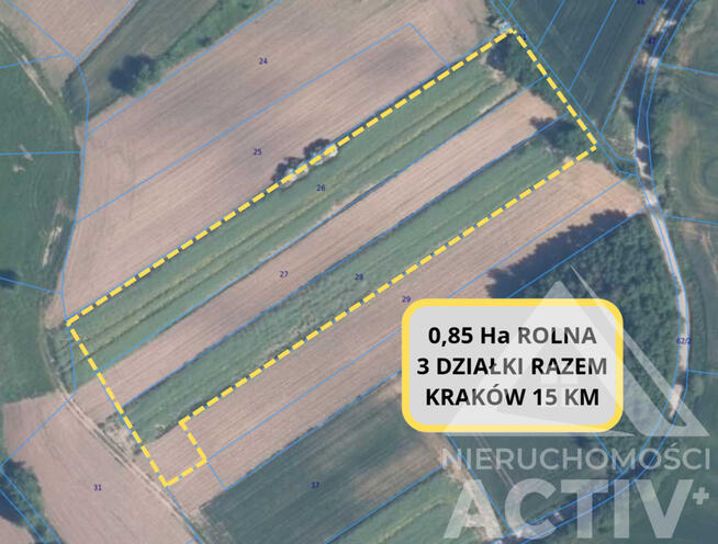 Rolna z potencjałem, rekreacja, 1ha, Kraków 15km