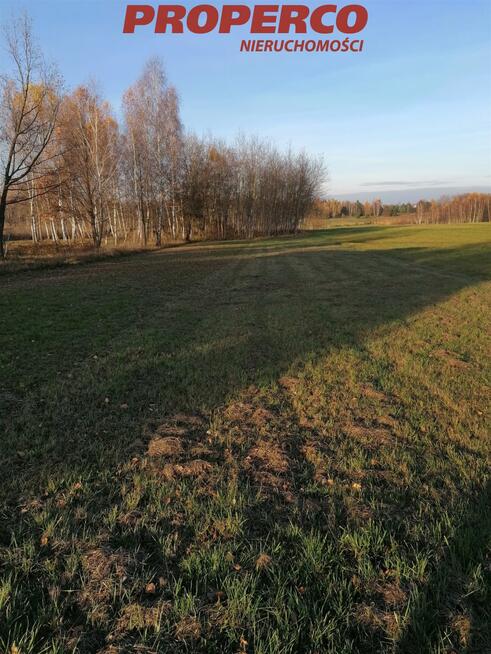 Działka Jaworznia gm. Piekoszów