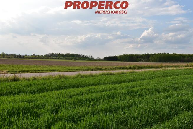 Działka Wielebnów gm. Łopuszno