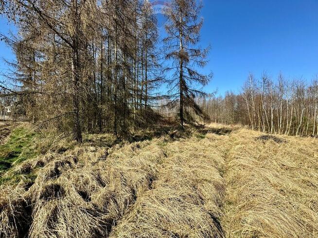 Działka budowlana 5436 m² Łuków Śląski