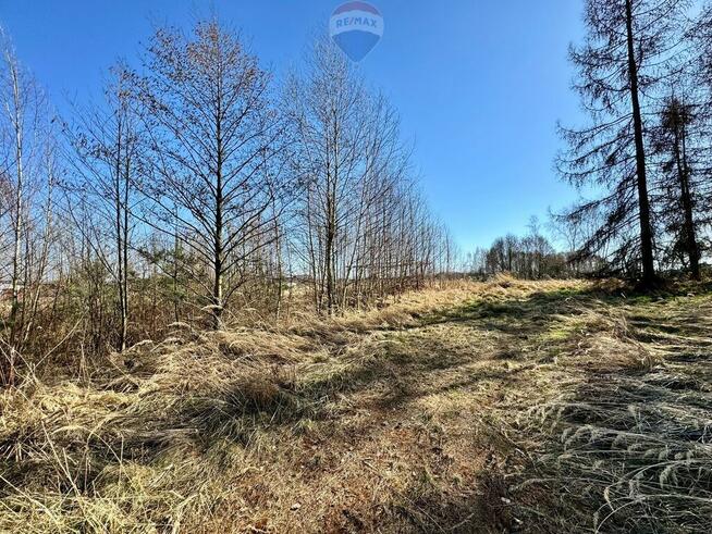 Działka budowlana 5436 m² Łuków Śląski