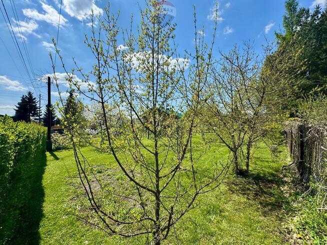 Działka budowlana z ogrodem 800 m²
