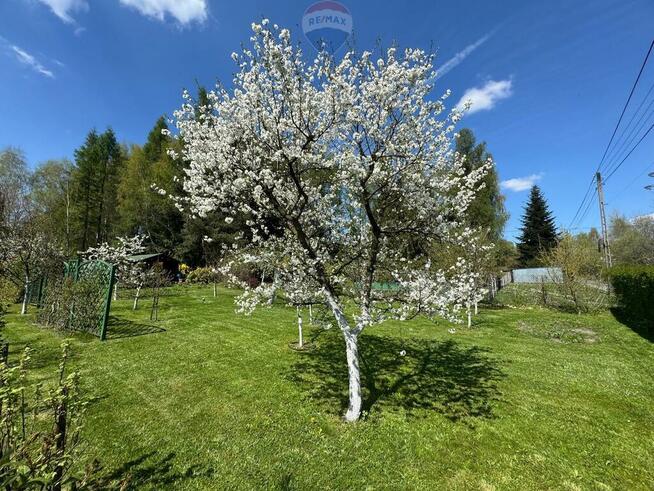 Działka budowlana z ogrodem 800 m²