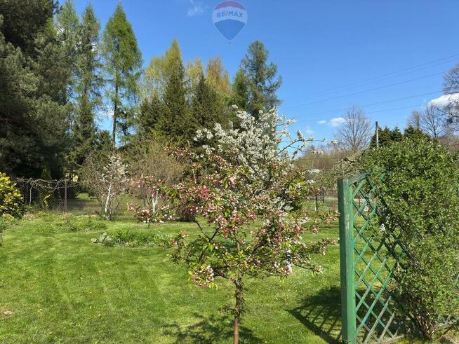 Działka budowlana z ogrodem 800 m²