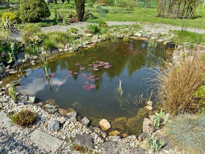 Działka budowlana z ogrodem 800 m²