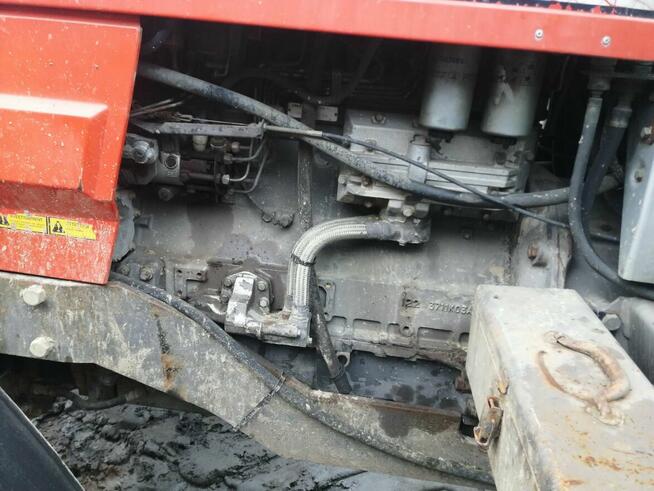 Ciągnik Massey Ferguson 3645 z TUZEM