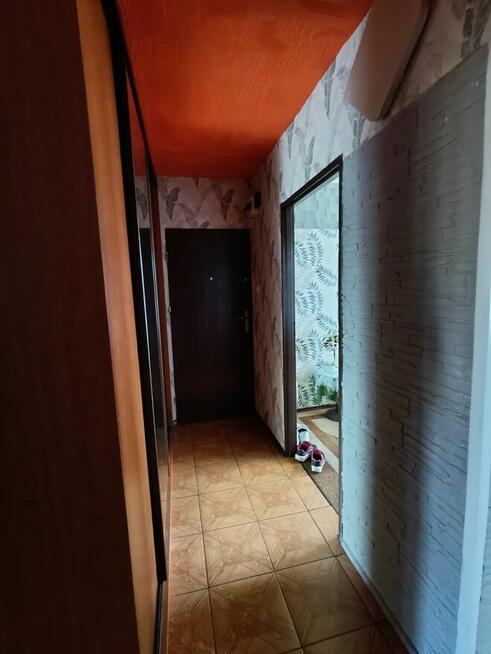 plytki 20 metrów do położenia