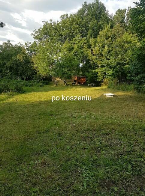 Koszenie trawy, trawników.