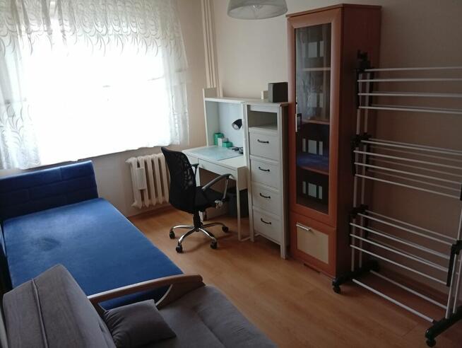 Wyjame mieszkanie umeblowane w Łomży