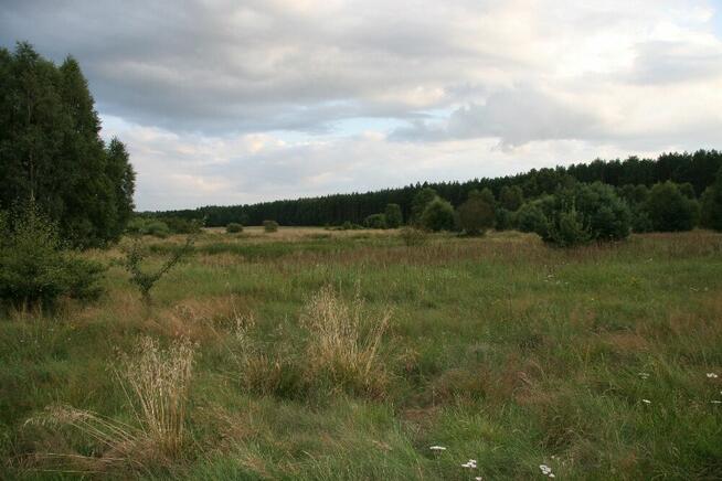 Działka nad jeziorem Czaplinek Pojezierze Drawskie