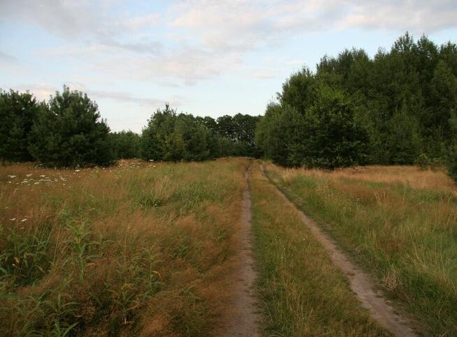 Działka nad jeziorem Czaplinek Pojezierze Drawskie