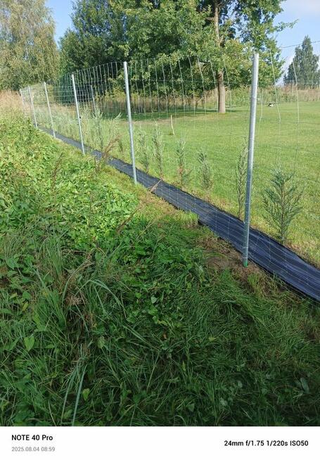 Tanie ogrodzenie Budowlane siatka leśna metalowe słupki