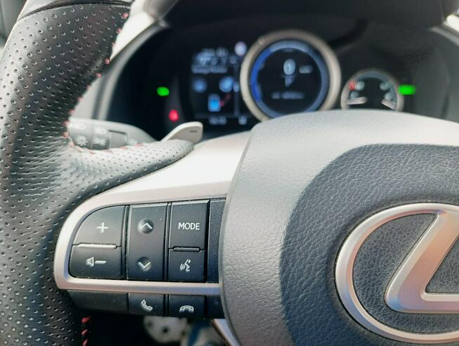 Lexus RX Krajowy najwyższe wyposażenie