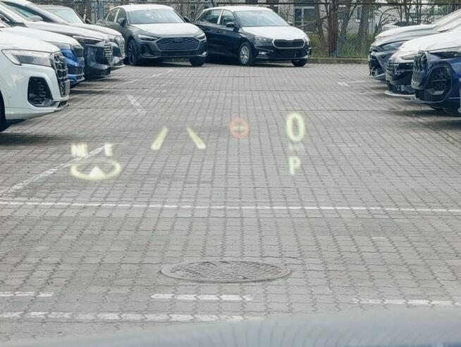 Lexus RX Krajowy najwyższe wyposażenie