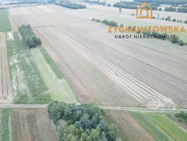 Działka rolna Białaczów Białaczów