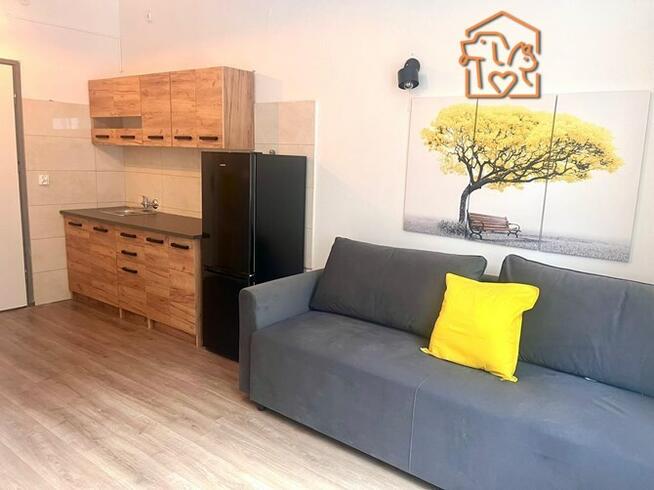 Kawalerka, pet-friendly - Madalińskiego 5, Wilda