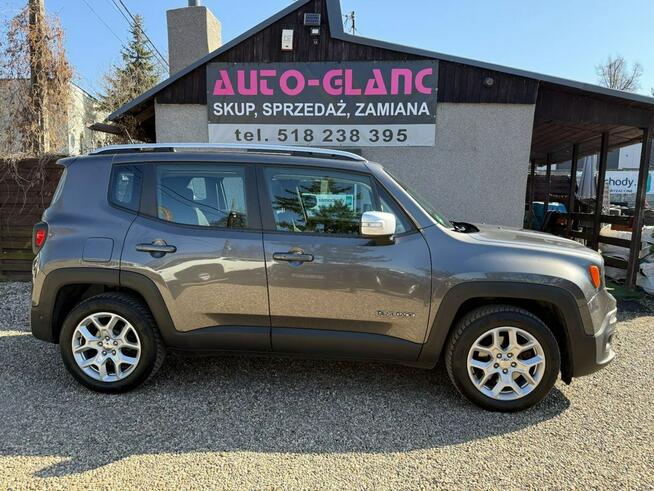 Jeep Renegade Piękny**Bogata wersja**