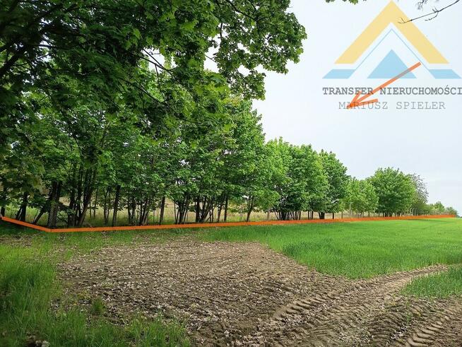 Oferta dla dewelopera działka 4,1 ha, Tychowo