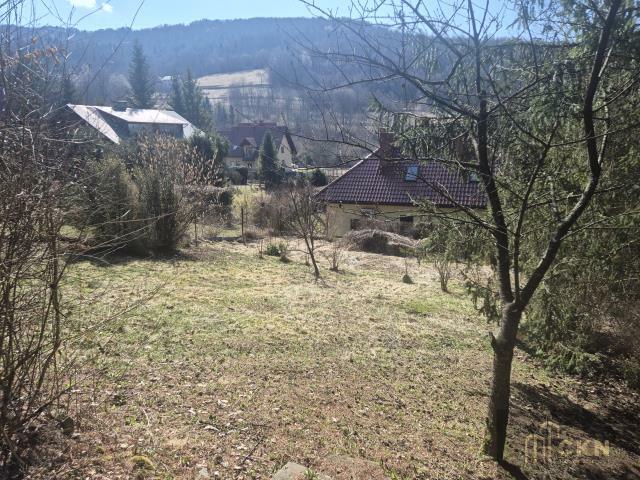 Dom Pcim