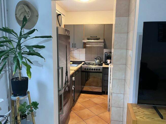 Mieszkanie 2 pokoje Grunwald