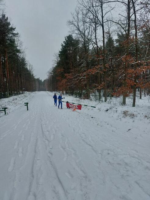 Wynajmę mieszkanie ul. Wittenberga