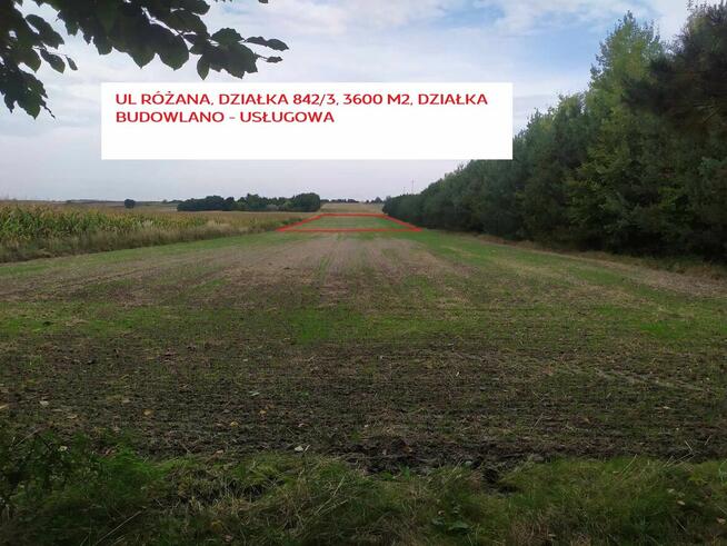Działka Budowlano Usługowa Bez Sąsiadów Przy Lesie - 36 AR