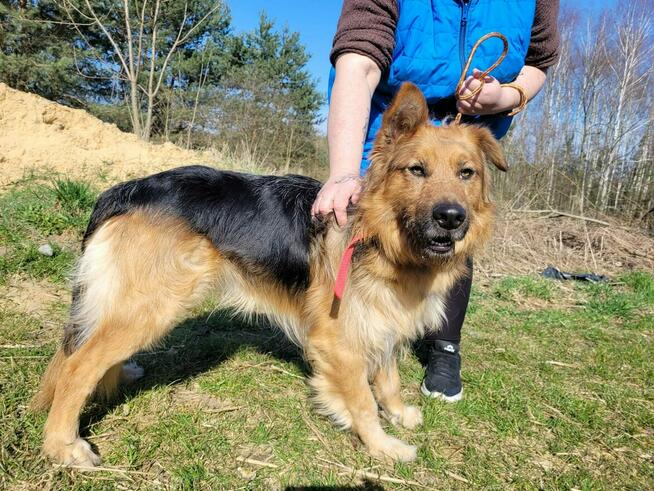 Max do adopcji