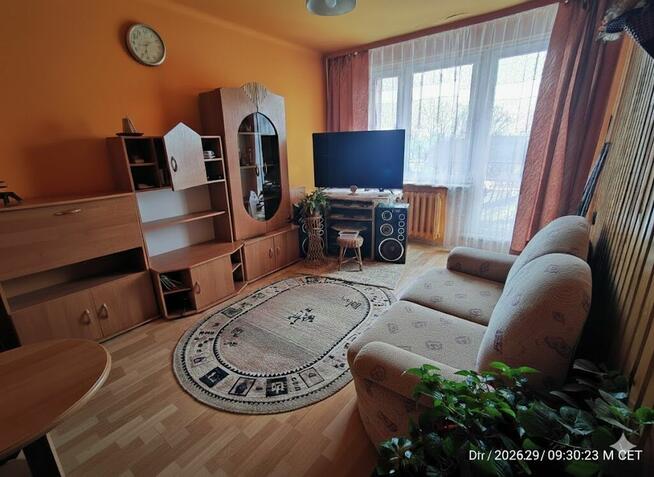 Busko-Zdrój | 2 pokoje | balkon | 1190 zł | od zaraz