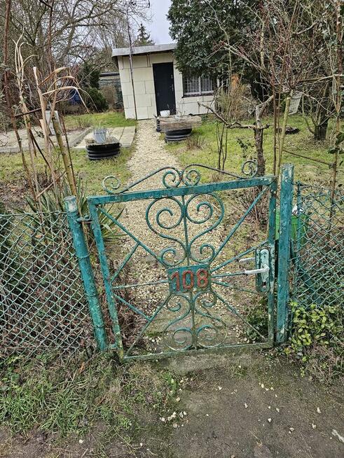 Sprzedam działkę rod Cybinka w Poznaniu ul.Pusta 16a
