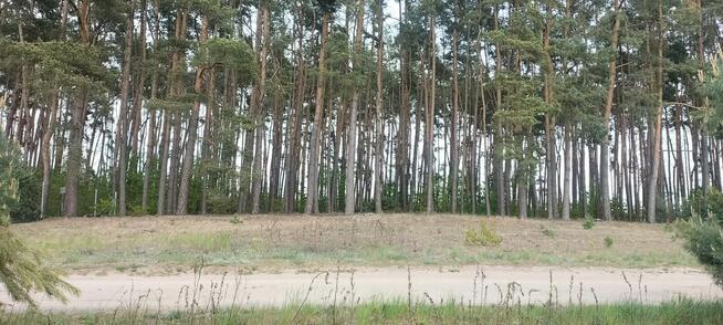 Działka na sprzedaż Chomiąża Szlachecka