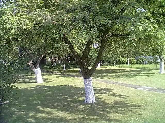 Sprzedam Działkę Rekreacyjną R.O.D Wisienka
