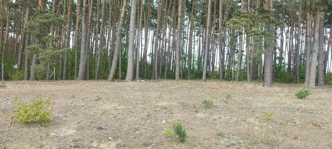Działka na sprzedaż Chomiąża Szlachecka