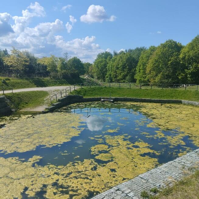 Warszewo | 3 pokoje | garaż | park | szkoła